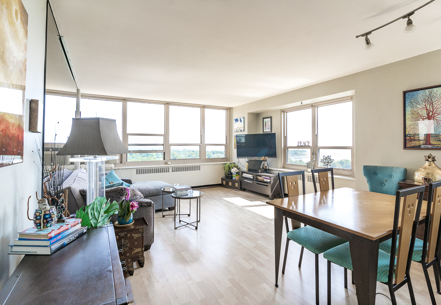 3950 N Lake Shore Drive 1530
