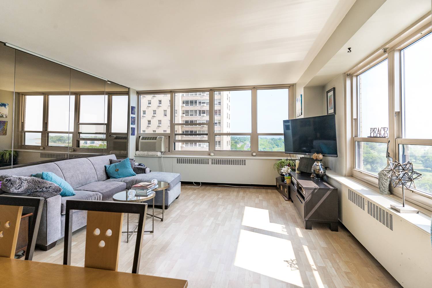 3950 N Lake Shore Drive 1530