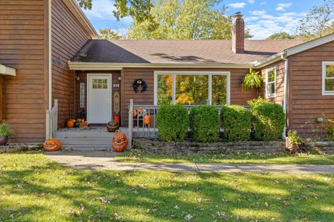 Tiny photo for 319 W Circle Drive, New Lenox, IL 60451 (MLS # 12500326)