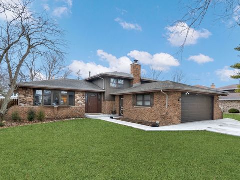 Photo of 10732 S Meadow Lane, Palos Hills, IL 60465 (MLS # 12634252)