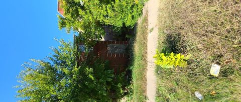 7804 S Constance Avenue Chicago IL 60649