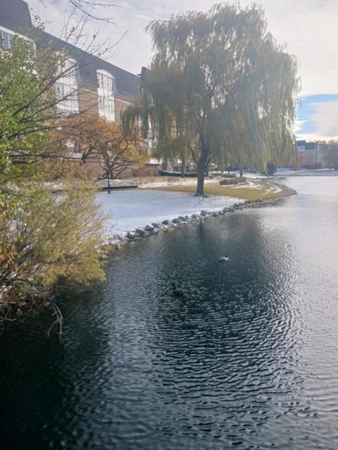 Tiny photo for 200 Lake Boulevard #402, Buffalo Grove, IL 60089 (MLS # 12525535)