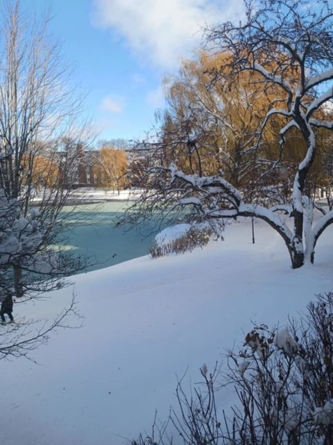 Tiny photo for 200 Lake Boulevard #402, Buffalo Grove, IL 60089 (MLS # 12525535)