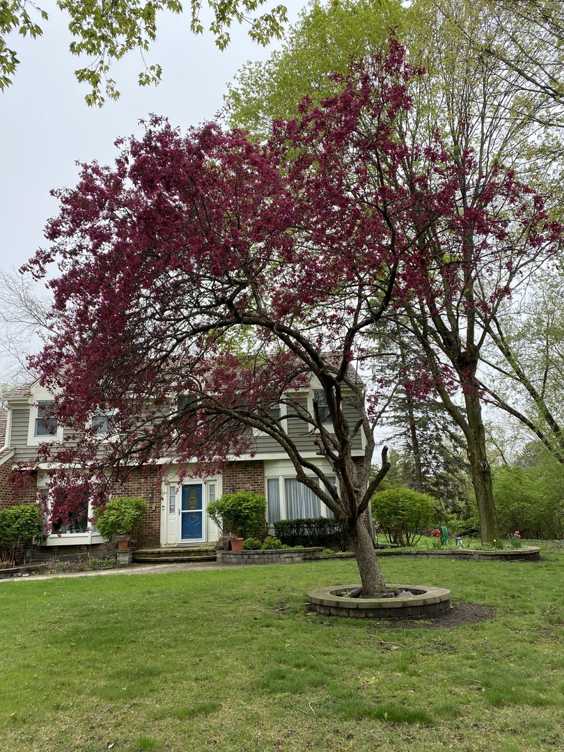 5544 Oak Grove Drive