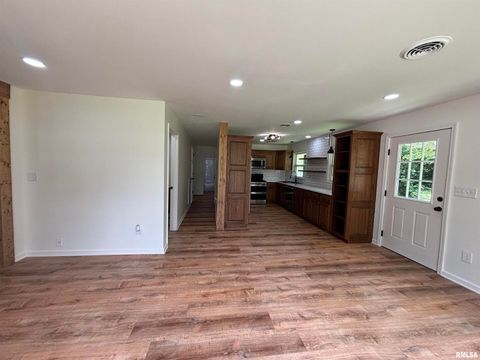 Tiny photo for 208 Dorris Drive, Metropolis, IL 62960 (MLS # EB458257)