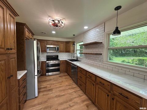 Tiny photo for 208 Dorris Drive, Metropolis, IL 62960 (MLS # EB458257)