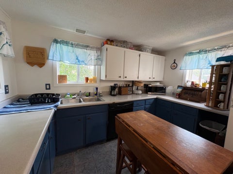 Tiny photo for 201 S Barber Avenue, Polo, IL 61064 (MLS # 12749599)