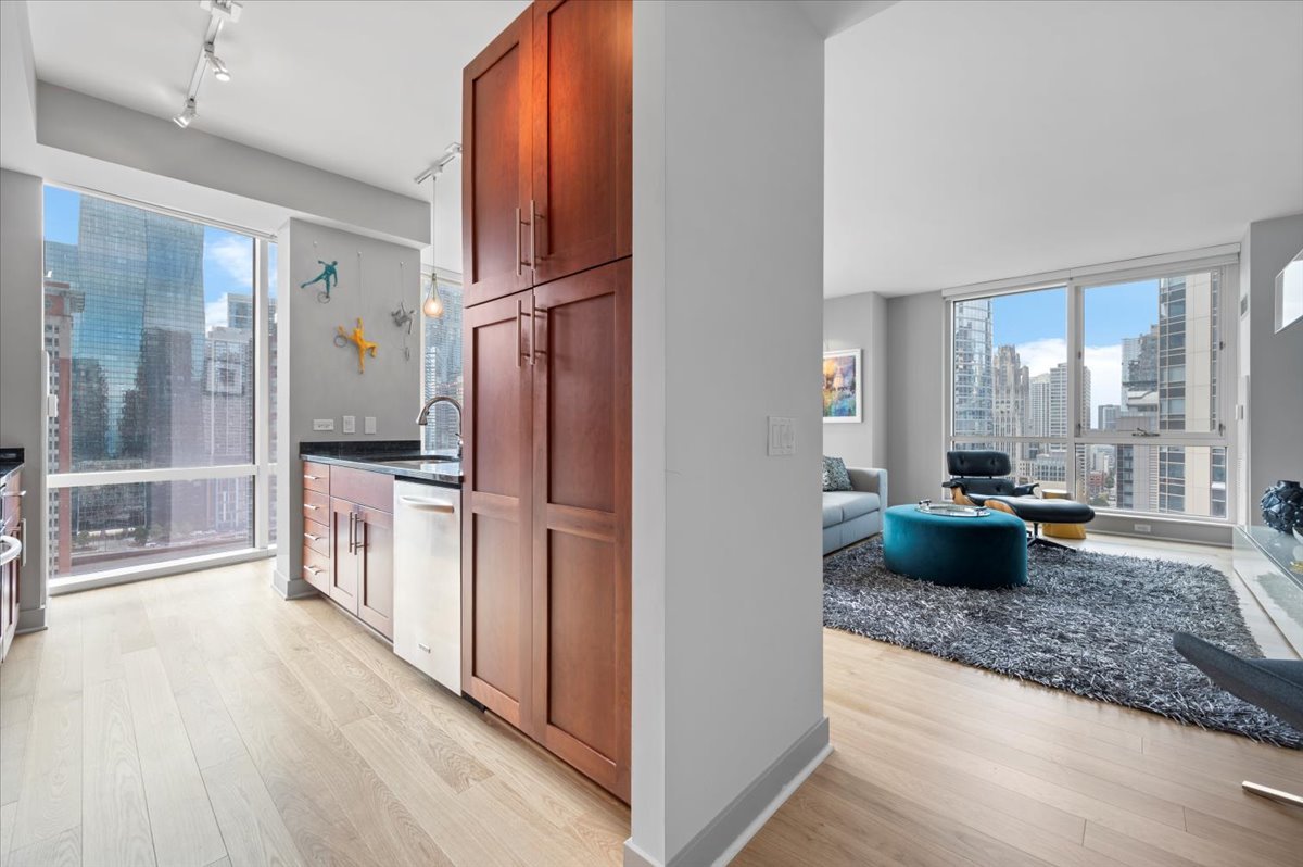 Chicago, Illinois 60611, United States, 2 Bedrooms Bedrooms, ,2 BathroomsBathrooms,Residential,Active,226840