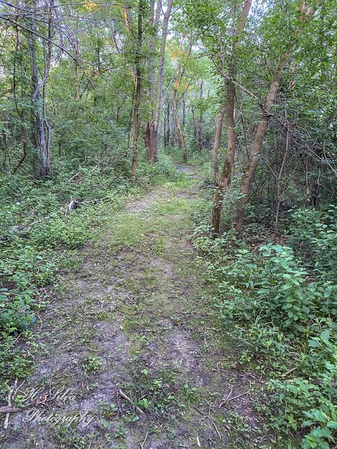 Tiny photo for 8106 Maple Street, Marengo, IL 60152 (MLS # 12571632)