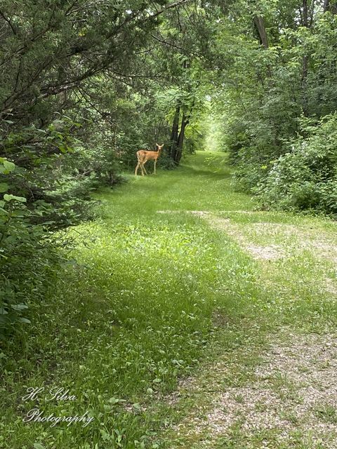 Tiny photo for 8106 Maple Street, Marengo, IL 60152 (MLS # 12571632)