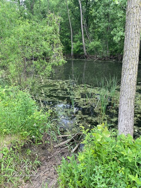 Tiny photo for 8106 Maple Street, Marengo, IL 60152 (MLS # 12571632)