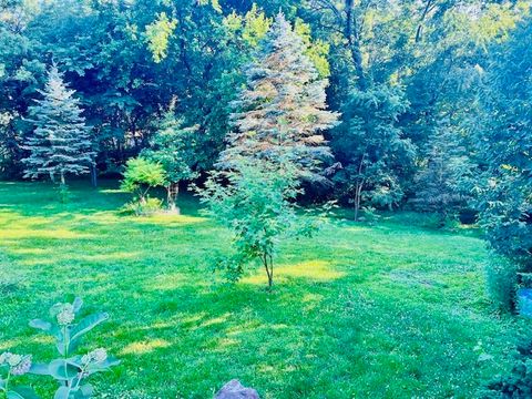 Tiny photo for 25641 S Oakview Court, Channahon, IL 60410 (MLS # 12401572)