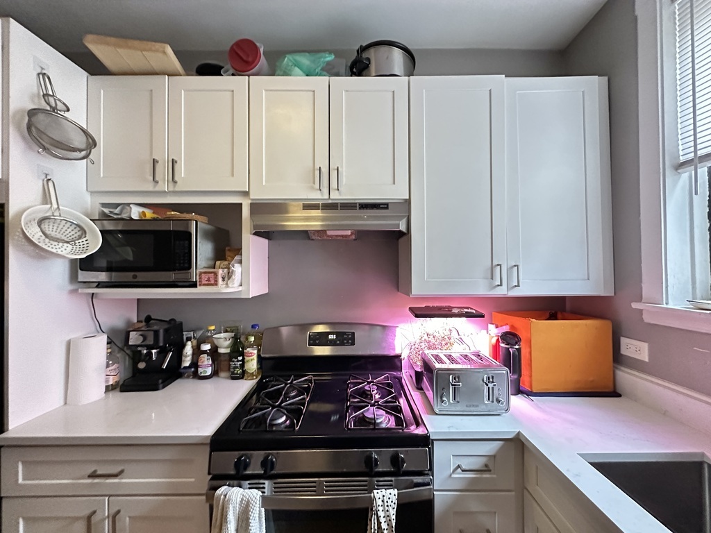 439 W Melrose Street 3C