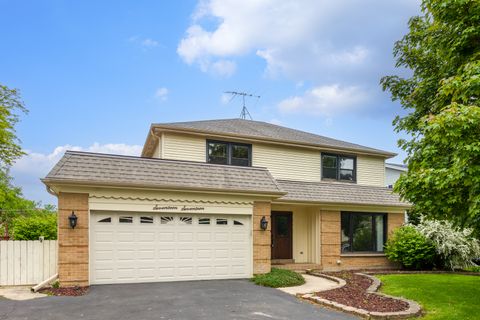 1717 N Burning Bush Lane Mount Prospect IL 60056