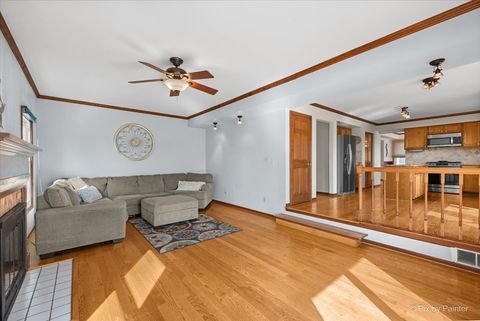 Tiny photo for 113 S Windham Lane, Bloomingdale, IL 60108 (MLS # 12586877)