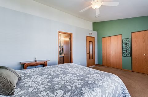 Tiny photo for 546 Meadow Lily Drive, Joliet, IL 60431 (MLS # 12583126)