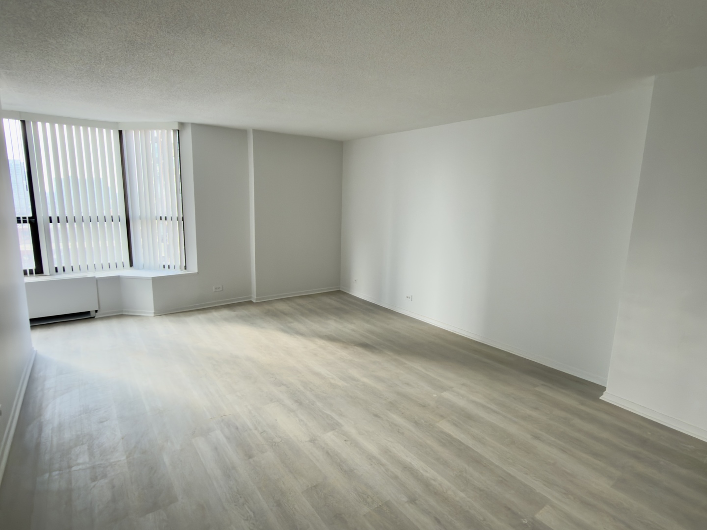 899 S PLYMOUTH Court 1106