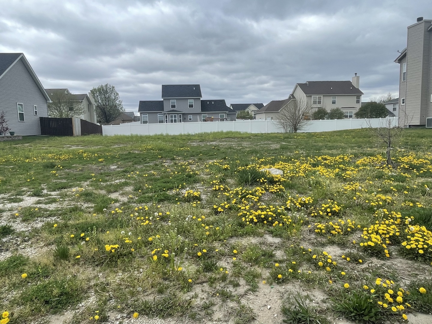 1170 Farmstone Drive