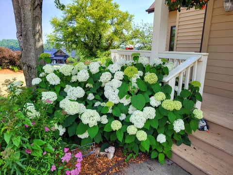 Tiny photo for 26-64 Blackwood Court, Lanark, IL 61046 (MLS # 12651344)