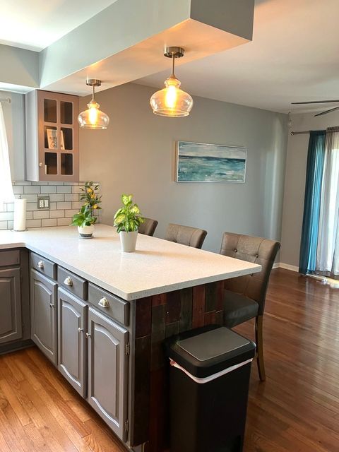 Tiny photo for 254 PLACID Way, Elk Grove Village, IL 60007 (MLS # 12629621)