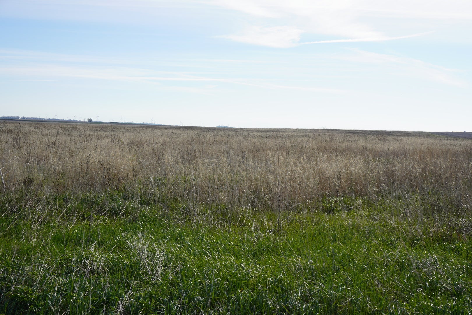 102 acres +/- E 1900 North Road