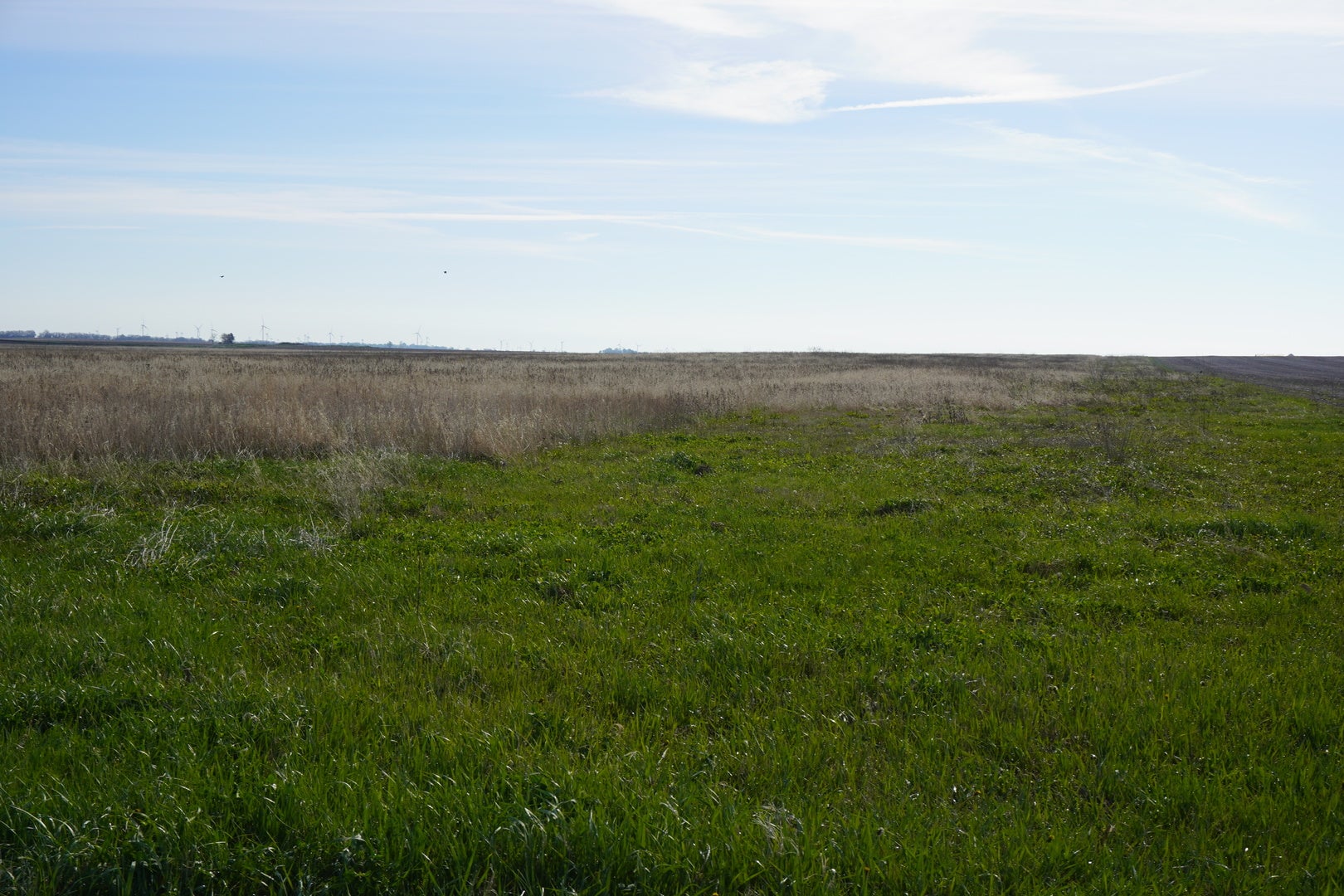102 acres +/- E 1900 North Road