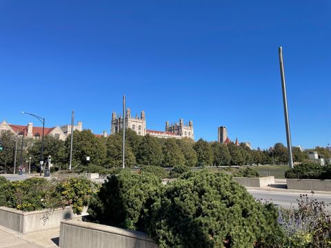 Tiny photo for 6213 S Ellis Avenue, Chicago, IL 60637 (MLS # 12504260)
