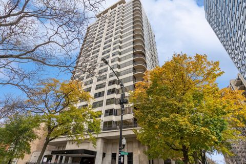 1501 N STATE Parkway 10B Chicago IL 60610