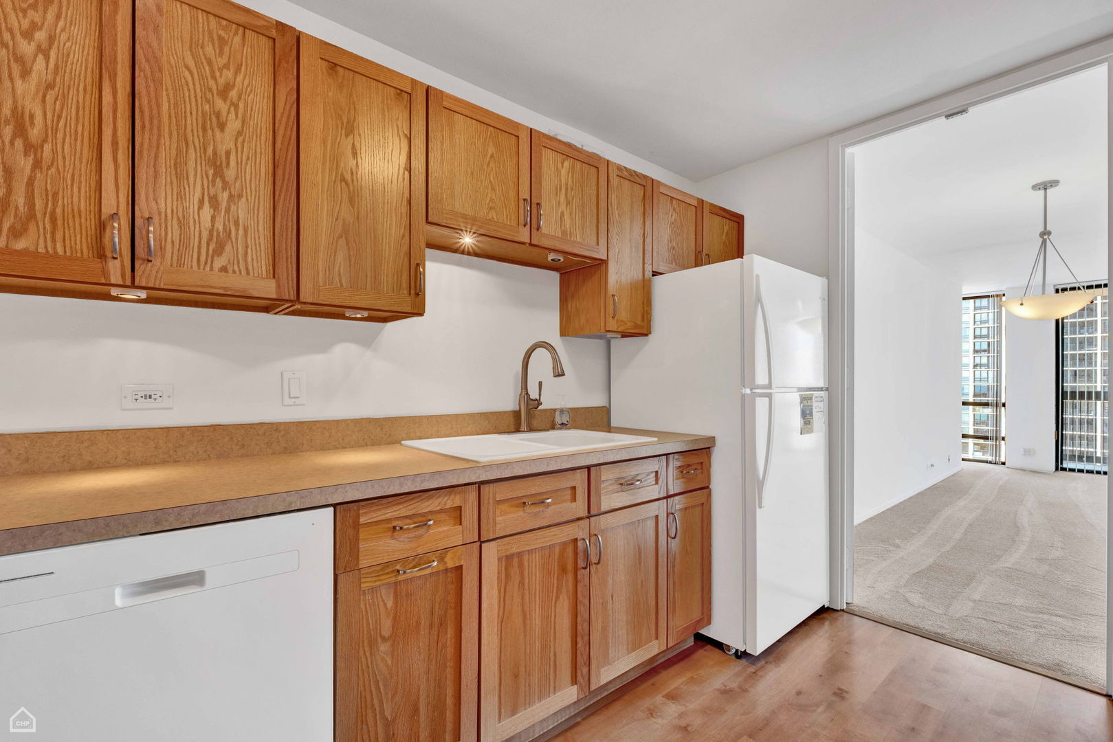 1660 N Lasalle Drive 2506