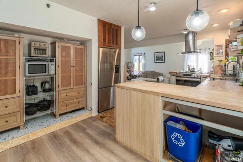 Tiny photo for 183 HERITAGE Road, Carbondale, IL 62903 (MLS # EB459548)