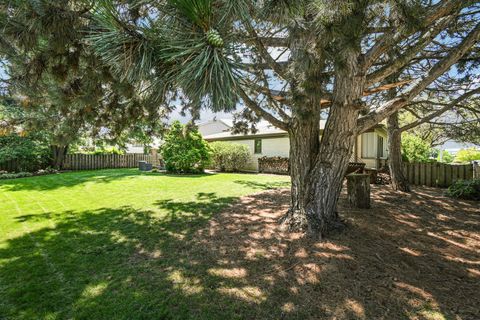 Tiny photo for 815 S Salem Avenue, Arlington Heights, IL 60005 (MLS # 12704039)