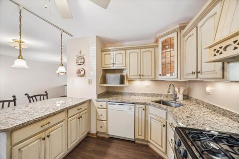 Tiny photo for 17346 Brook Crossing Court, Orland Park, IL 60467 (MLS # 12615150)