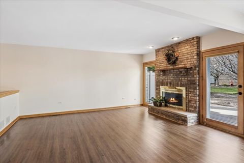 Tiny photo for 17346 Brook Crossing Court, Orland Park, IL 60467 (MLS # 12615150)