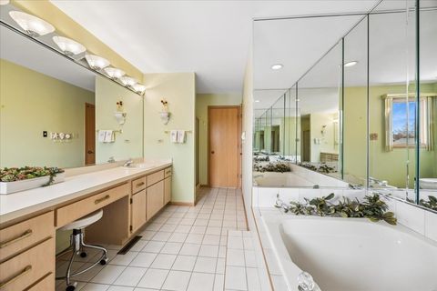 Tiny photo for 17346 Brook Crossing Court, Orland Park, IL 60467 (MLS # 12615150)