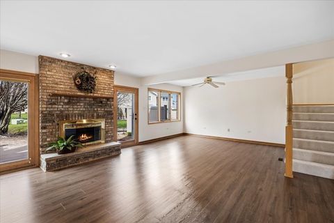 Tiny photo for 17346 Brook Crossing Court, Orland Park, IL 60467 (MLS # 12615150)