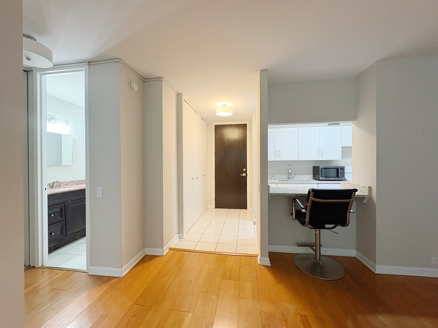 535 N Michigan Avenue 1403