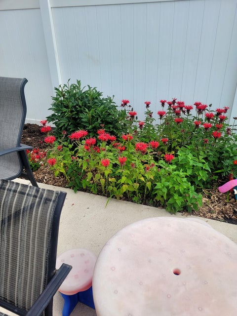 Tiny photo for 501 N Main Street, Lombard, IL 60148 (MLS # 12766938)