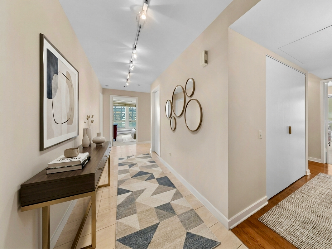 57 E Delaware Place 3102