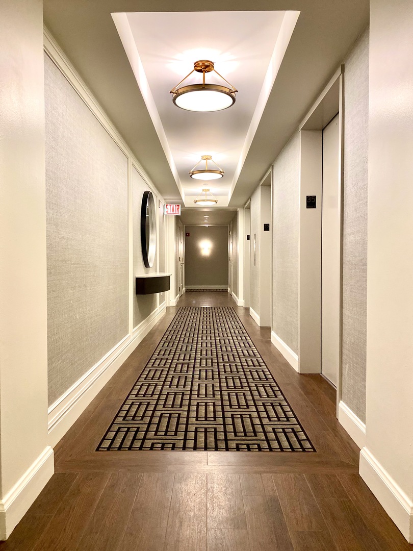 57 E Delaware Place 3102