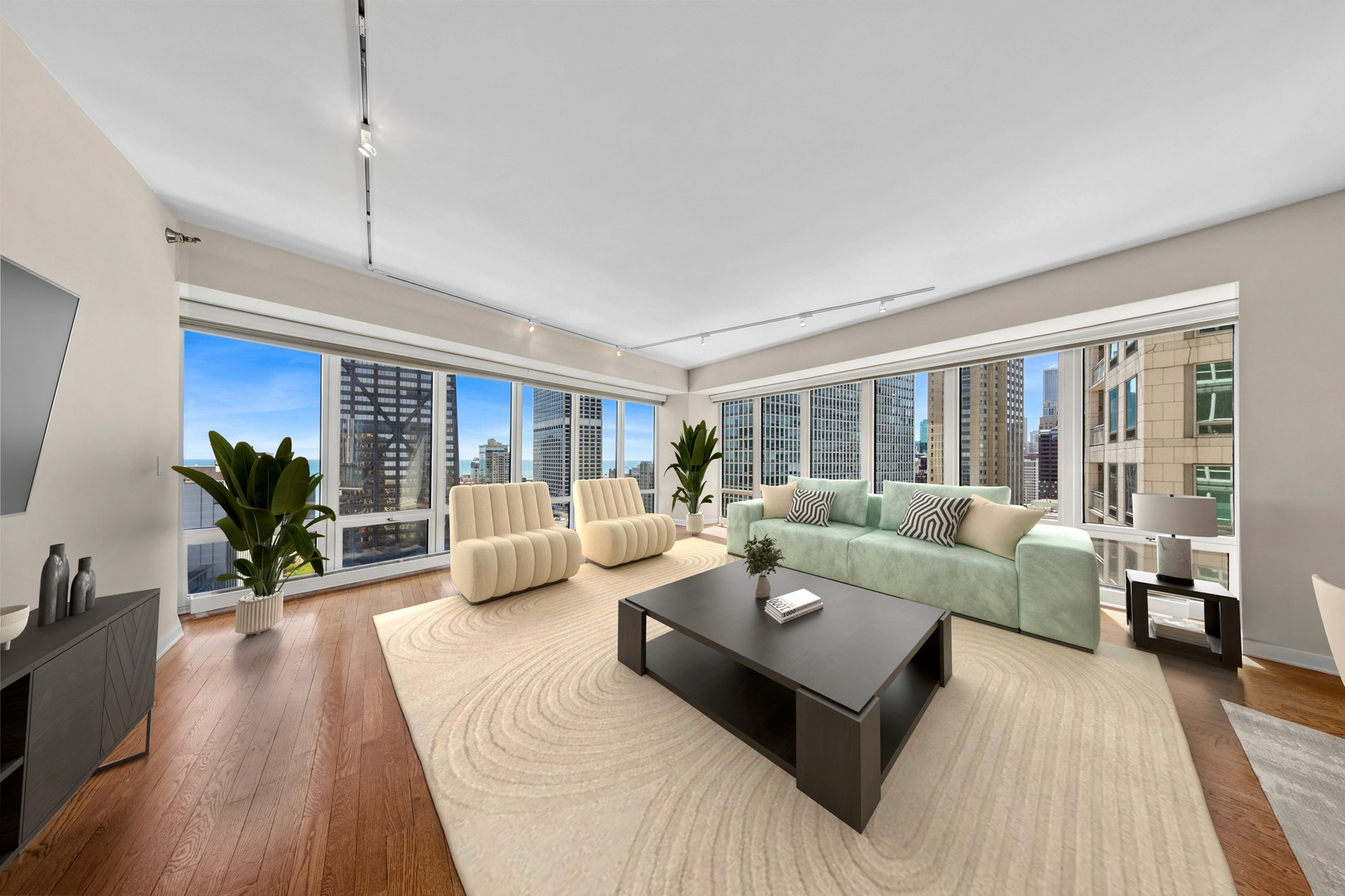 57 E Delaware Place 3102