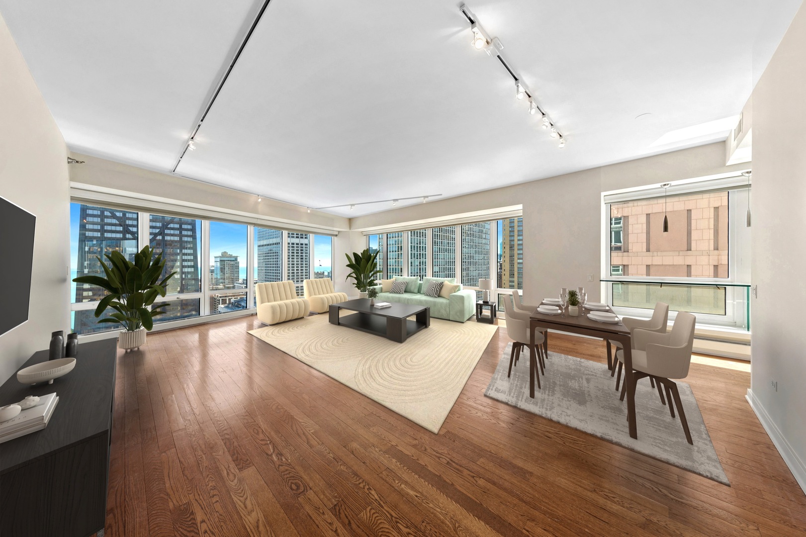 57 E Delaware Place 3102