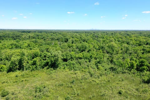 Tiny photo for 6850 W Winding Trail #202, Oak Forest, IL 60452 (MLS # 12682507)