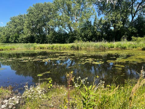 Tiny photo for 6850 W Winding Trail #202, Oak Forest, IL 60452 (MLS # 12682507)