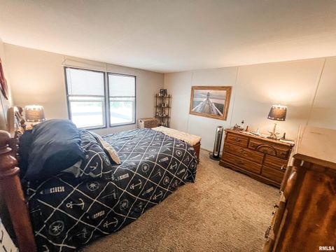 Tiny photo for 511 W HELEN Avenue, Christopher, IL 62822 (MLS # EB459440)