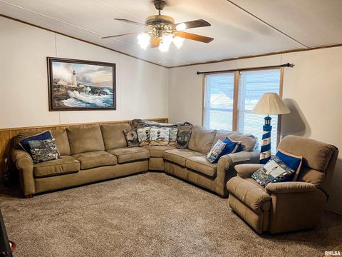 Tiny photo for 511 W HELEN Avenue, Christopher, IL 62822 (MLS # EB459440)