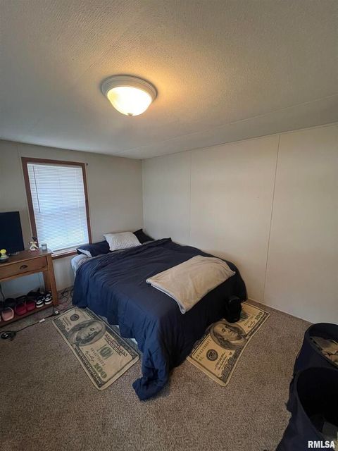 Tiny photo for 511 W HELEN Avenue, Christopher, IL 62822 (MLS # EB459440)