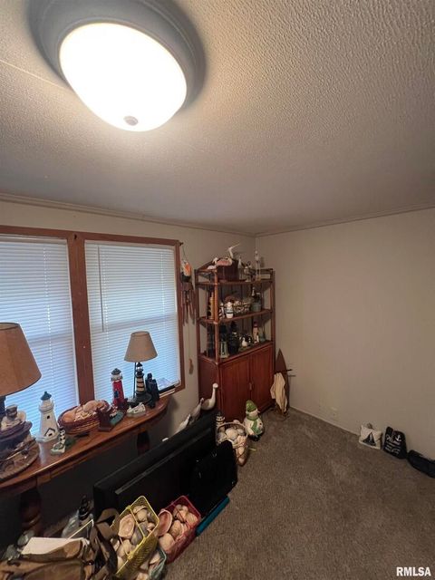 Tiny photo for 511 W HELEN Avenue, Christopher, IL 62822 (MLS # EB459440)
