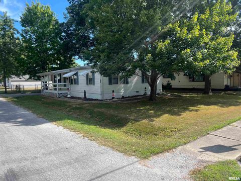 Tiny photo for 511 W HELEN Avenue, Christopher, IL 62822 (MLS # EB459440)