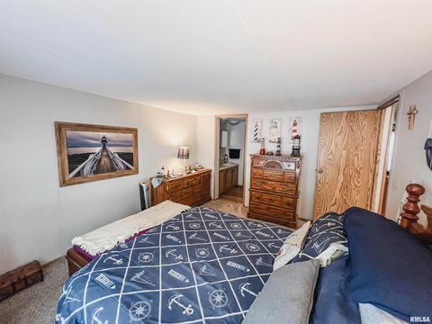 Tiny photo for 511 W HELEN Avenue, Christopher, IL 62822 (MLS # EB459440)