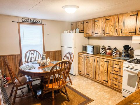 Tiny photo for 511 W HELEN Avenue, Christopher, IL 62822 (MLS # EB459440)